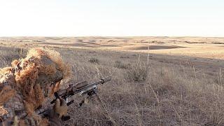 We Killed The Whole Pack. Predator Hunting: SUPPRESSED Trilexia