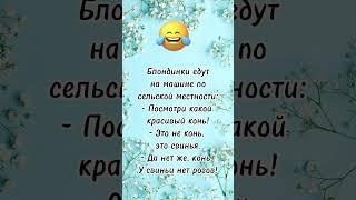 Блондинки едут… анекдот дня! Смешно до слез! Отправляй сам знаешь кому! Юмор дня!