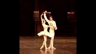 Николай Цискаридзе  Париж 19 12 09. The Nutcracker pdd