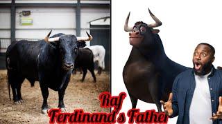 Ferdinand Characters in Real Life 2023|ALL CHARACTERS| IN REAL LIFE    #bulls #ferdinandovalencia