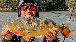 We caught a HUGE peacock bass in Puerto Rico (Kayak Fishing)