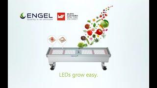 Engel Lighting Horticulture