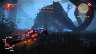 The Witcher 2: Enhanced Edition Kayran Boss Fight