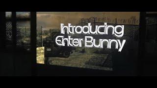 Introducing Enter Bunny