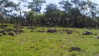 LAND FOR SALE IN PANAMA, CHIRIQUI-SABANA BONITA (30 HECTARES $ 240.000.00)