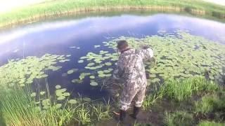 Клад пятаков