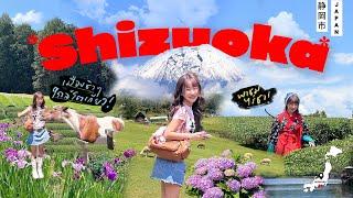 พาเที่ยว SHIZUOKA แวะไร่ชาดูฟูจิแบบใกล้ๆ รูทนี้สายธรรมชาติต้องตาม ชิลเว่อร์ (lto En)