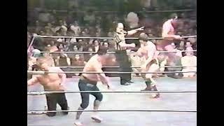 wwwf tv 78 mr fugi/prof tanaka vs dino bravo/dom denucci