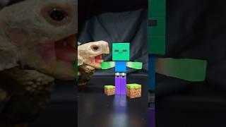 Minecraft ASMR Mukbang Eating Zombie  Turtle Tortoise