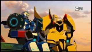 Strongarm and Bumblebee tribute