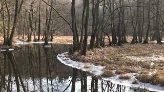 20 Sekunden Uckermark - Frühlingstöne