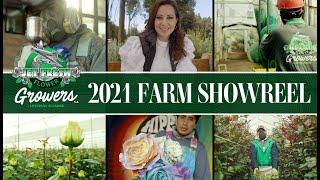 JFTV: Jet Fresh Flower Growers - Premium, Ecuadorian-Grown Roses - Farm Showreel 2021