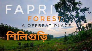 Fapri forest Siliguri || A beautiful place near Siliguri || cinematic shots || Offbeat North Bengal