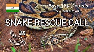 Snake Rescue Call -  full wildlife documentary, conflict between humans and venomous snakes in India