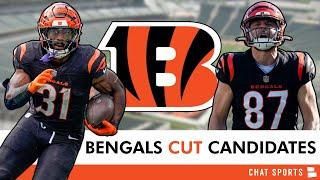 LATEST Bengals Cut Candidates Following Minicamp & OTAs Ft. Zack Moss & Cordell Volson