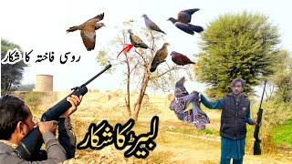 Airgun Hunting Birds hunting with airgun airgun hunting like a pro with these Expert tips very munda