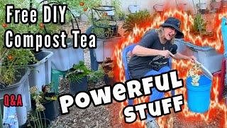 FREE How to Make Compost Tea Plant Fertilizer 2 Ways & How to Use it To Water Your Vegetable Plants