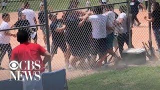 Video shows adults brawling at kids' baseball game