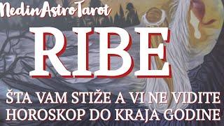 Ribe ️ “10 stepenica više” Horoskop do kraja godine 2024