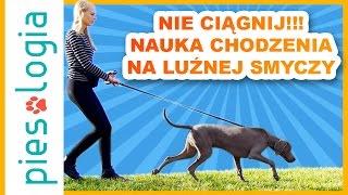 Nie ciągnij!!! - Nauka chodzenia na luźnej smyczy