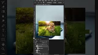 PS最简单的海报合成效果 #ps #ps零基础教学 #ps教程 #ps小技巧 #ps基础 #photoshop #AI  #illustrator