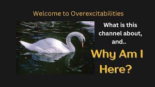 Introduction (what are overexcitabilities, and why am I here?)