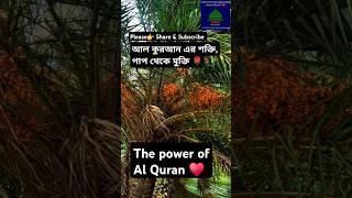 Power of Al Quran / আল কুরআন এর শক্তি। Heart touching Quran recitation: Subhan .Fatima Tunes Vision