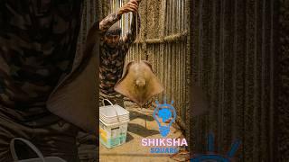 How Does This Guy Catch Hundreds Of Fish Every Day Without Any Effort?By Shiksha SQUARE