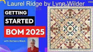 Block of the Month 2025 - Laurel Ridge by Lynn Wilder - TheQuiltShow.com