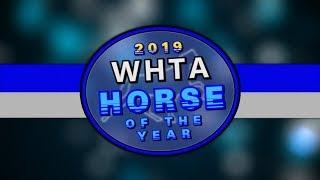 IM MAYHEM - 2019 WHTA HORSE OF THE YEAR