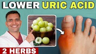 Lower Uric Acid Naturally: 2 Best Herbs & Causes of High Uric Acid Explained How to Reduce Uric Acid