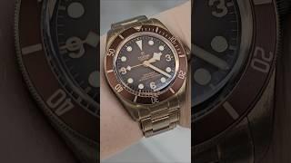 Tudor Black Bay Bronze красят руку?