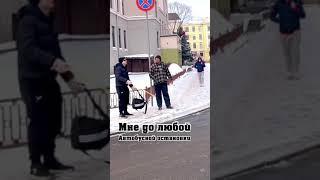 Пранк подстава