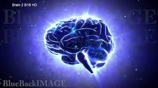 Brain anatomy human body idea mind concept mental Brain 2 B1B HD