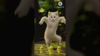 FUN TO DANCE with happy duck#cat cute#youtube#short video