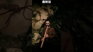 Флейта Югэн 森林浴 прогулка в лесу #hocchiku #shakuhachi #livezen #shakuhachiflute #yugen #дхарма #крас