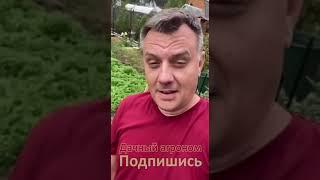 Удивительная история про Огород XXI века