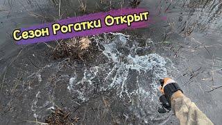 Первый Улов Сезона На Рогатку - Змееголов #2025 #fishing #рекомендации #trend #top #slingshot #fish