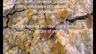 Гео прошлое Донбасса - Триас (Geological history of Donbass - Triassic)