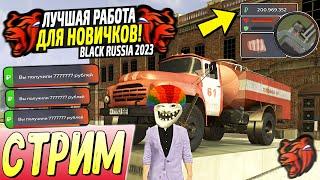 ЛУЧШИЕ РАБОТЫ ДЛЯ НОВИЧКОВ BLACK RUSSIA 2025!️ИГРАЕМ И КАЙФУЕМ ВМЕСТЕ! СТРИМ БЛЕК РАША!