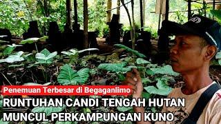 Penemuan terbesar di Begaganlimo! Runtuhan Candi dari perkampungan kuno di tengah hutan