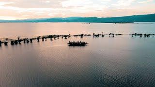 Tanguar Haor 2021 Travel Video | Dihan Chowdhury