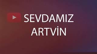 ARTVİN HOPA ŞEHİR MERKEZİNE AYI İNDİ (bear)