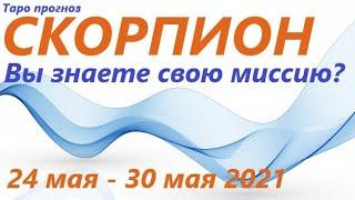 СКОРПИОН 24 мая - 30 мая 2021 таро гороскоп/таро прогноз /любовь, карьера, финансы, здоровье