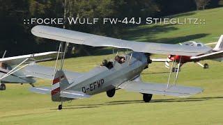 Focke Wulf FW-44 Stieglitz 1937 + 1940