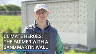 Farmer delighted at success of sand martin nesting wall