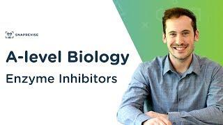 Enzyme Inhibitors  | A-level Biology | OCR, AQA, Edexcel