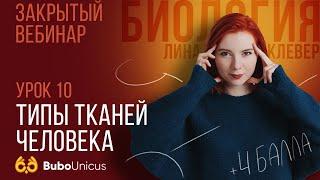 Типы тканей человека | БИОЛОГИЯ ЕГЭ | Лина Клевер