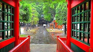 Walking in the Rain in Tokyo: Toyama Park & Ana Hachiman Shrine - Rain Walk, Heavy Rain, ASMR