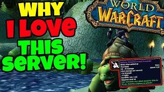 Why I LOVE Turtle WoW & Should You Play Turtle WoW?